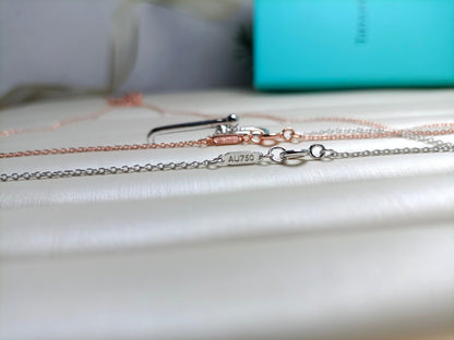 [Stellar jewels]HARDWEAR DROP DOUBLE LINK PEDANT NECKLACE